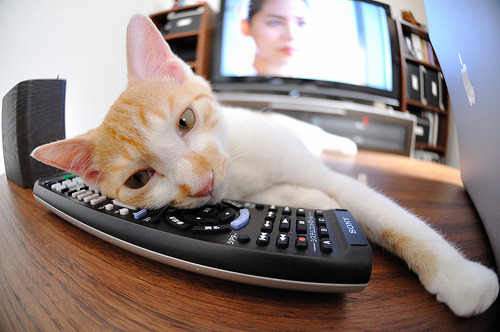 爱游戏 电竞-_冬季赛事依旧火热：在冰雪之外燃起运动激情_，冰雪运动比赛视频