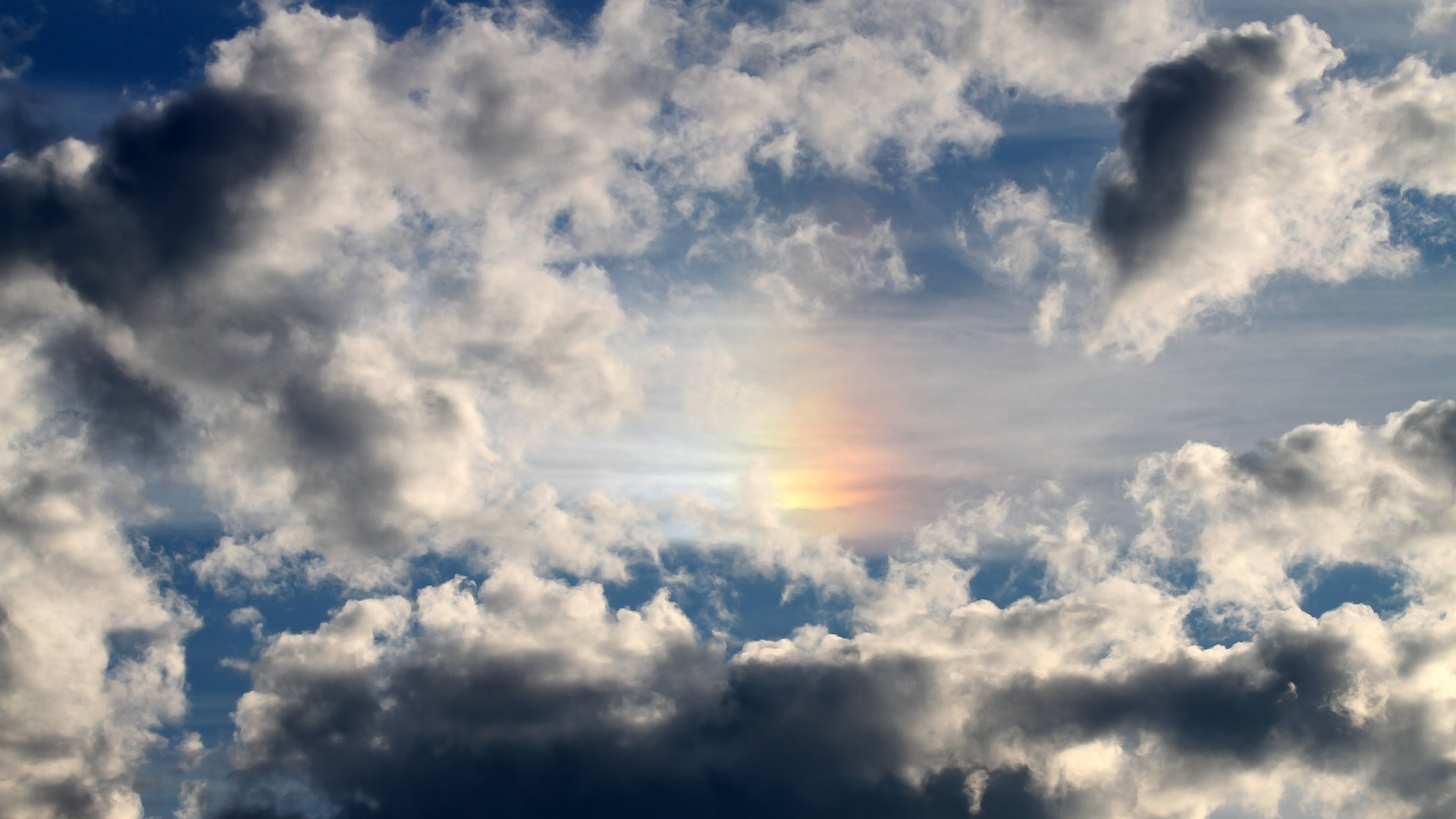 “健康监测与运动优化:科技创新开启运动医学新纪元”,运动健康测评