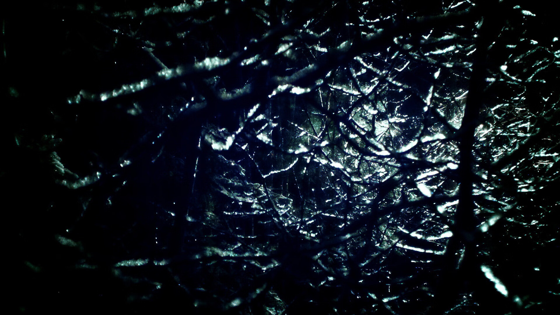 “健康监测与运动优化:科技创新开启运动医学新纪元”,运动健康测评