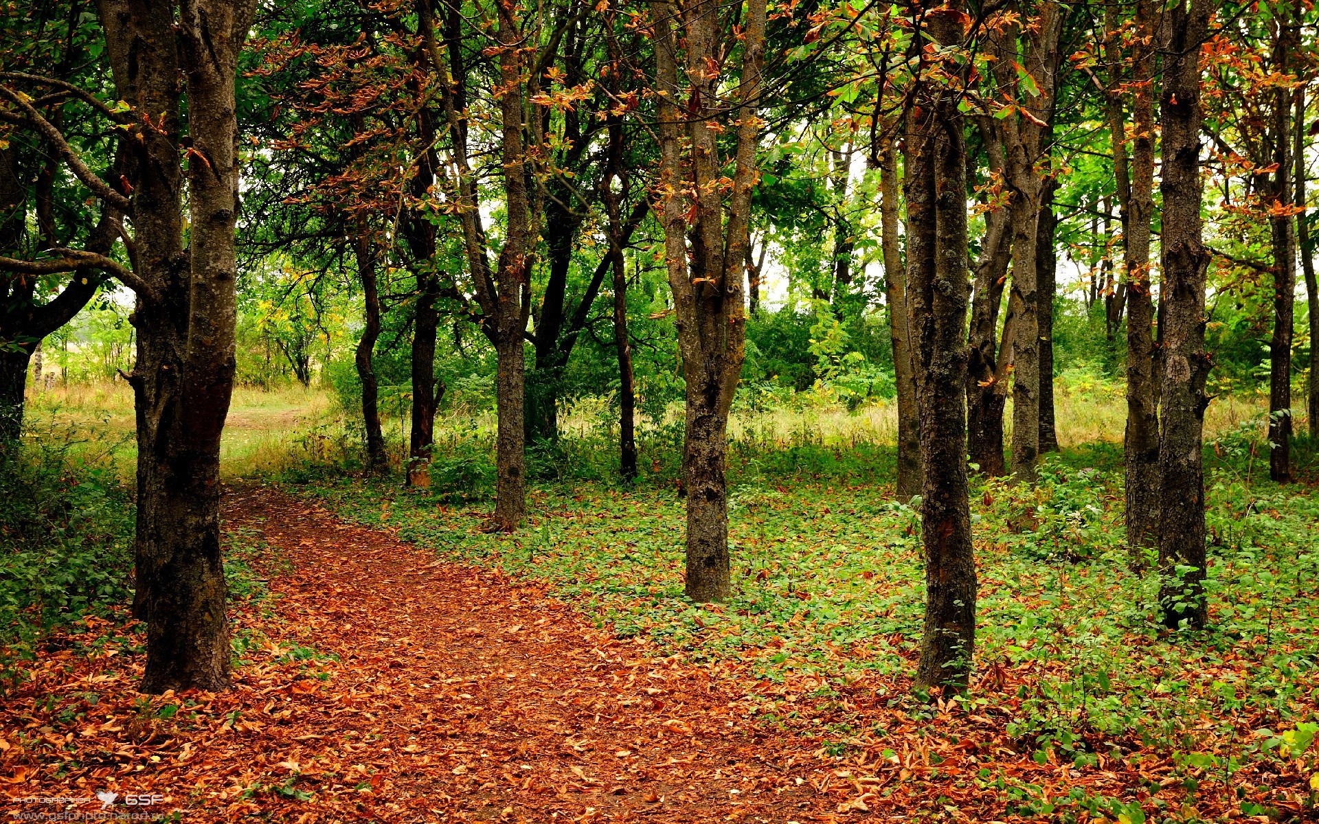 “全场激情:最燃比赛瞬间排行榜”,激情燃烧的歌曲有哪些