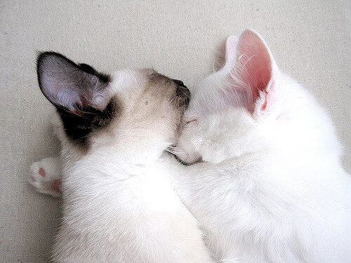 爱游戏中国官方登录入口网站-“英超焦点战：两豪门激烈对攻，场面精彩纷呈”，英超两大豪门