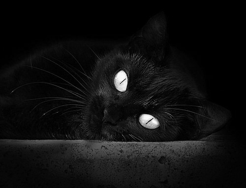 AYX官网-意甲关键战，专家点评技术细节，意甲战况