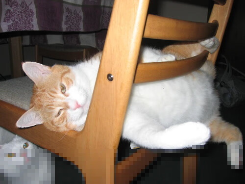 王者荣耀赛事解说风格：分析不同解说的特点与风格，王者荣耀赛事战令