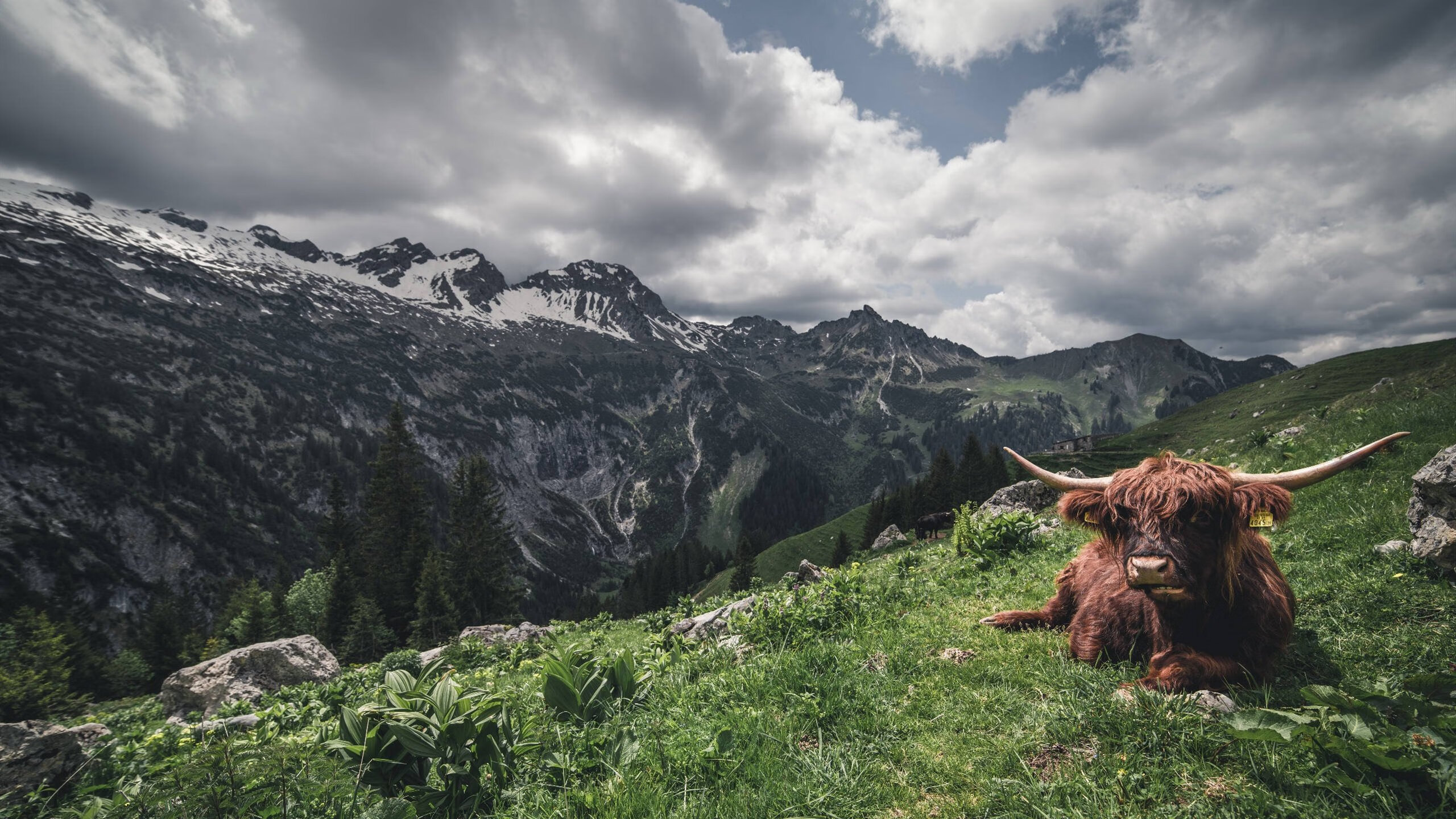 穿越火线 赛季末冲刺赛精彩纷呈，cf季前赛
