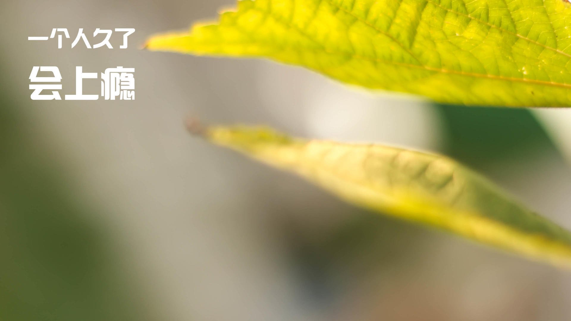 爱游戏体育（AYX）官方APP下载-詹姆斯多场“双十”爆发，季后赛状态火热！，詹姆斯多少次双一阵