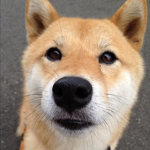 爱游戏官网-中国足球试点“球迷责任区”，维护赛场秩序，中国足球球迷文化