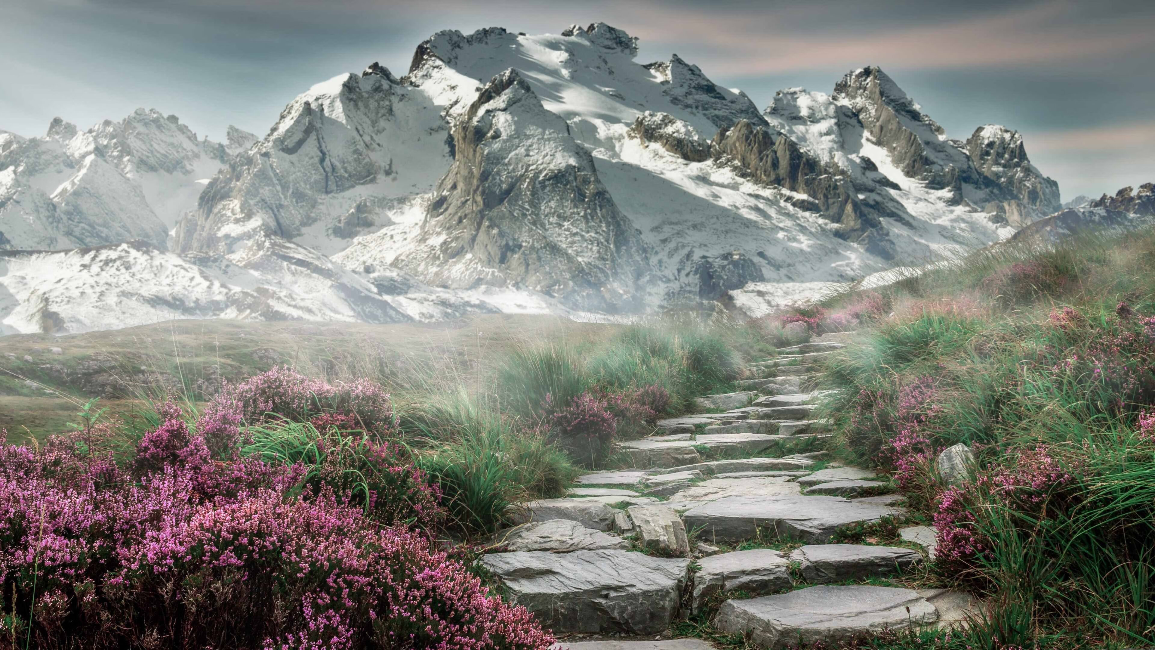 国足奋勇拼搏,夺得国际比赛冠军,国足夺冠_