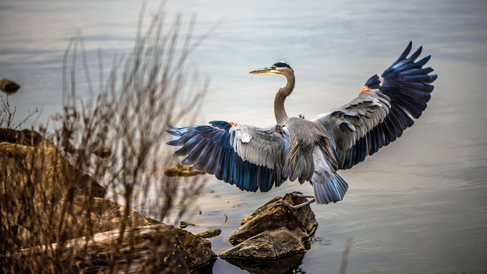 山东高速球队赛季目标明确,山东高速男篮新赛季最新消息