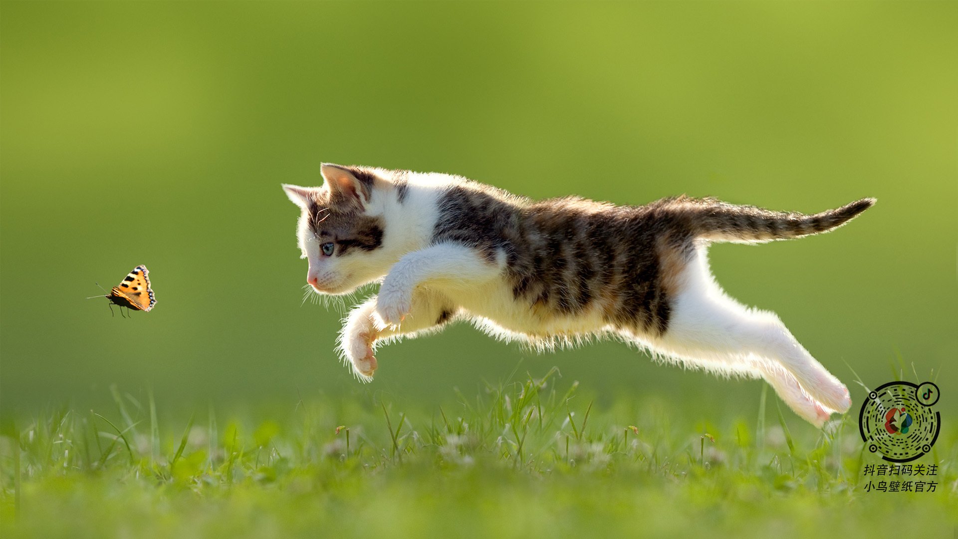 爱游戏app-山东高速老将发挥稳定贡献，山东高速任命