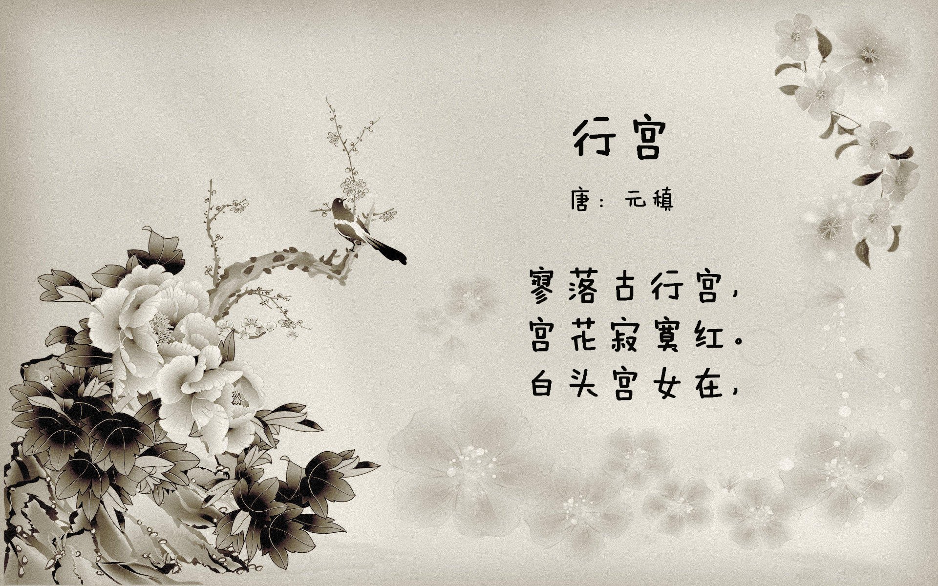 AIYOUXI.COM-伊朗球员用毯子盖住替补席，被误认为冬奥冰壶队，伊朗杯是什么