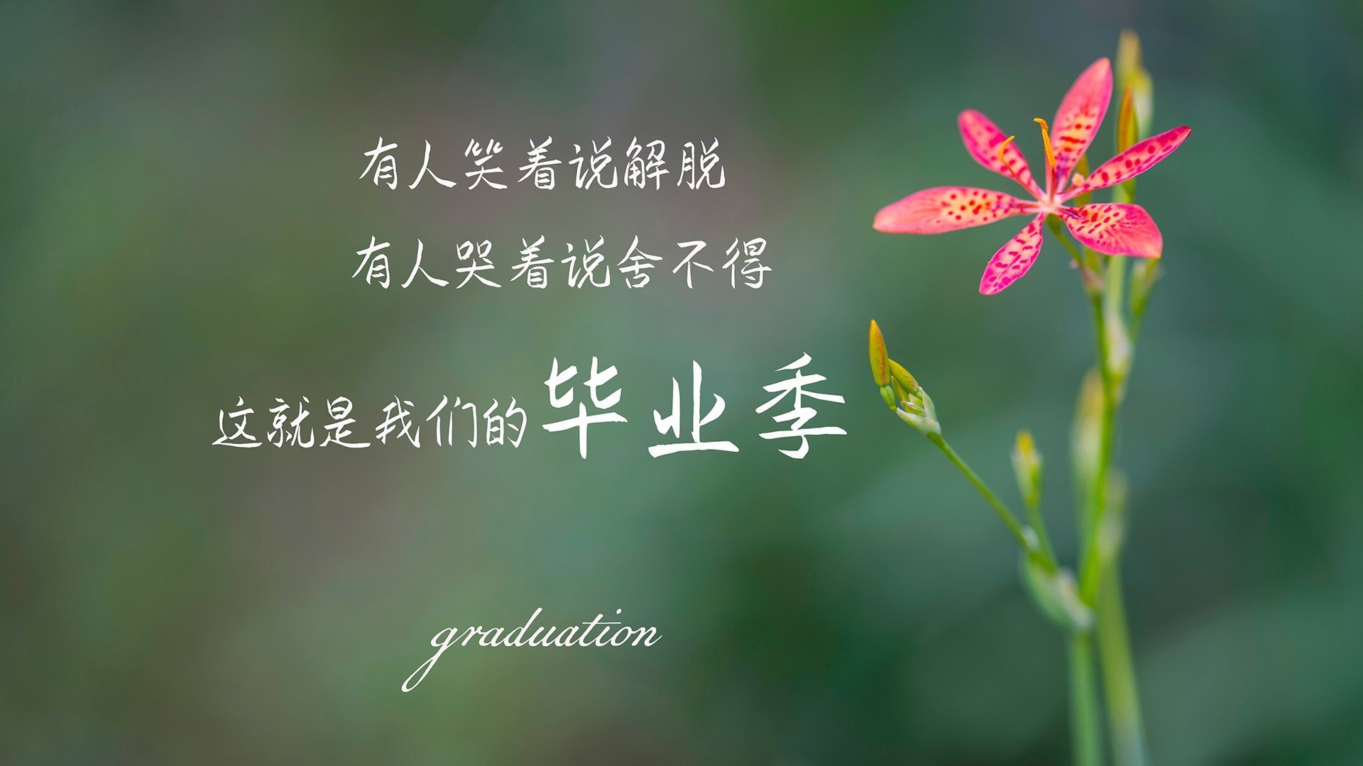 史上最“燃”季后赛夜战,谁的表现最震撼?,季后赛饭堂夜