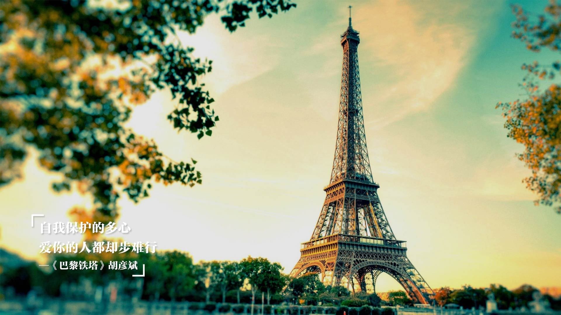 猛龙队球员高效表现,帮助球队取得连胜,猛龙队怎么样