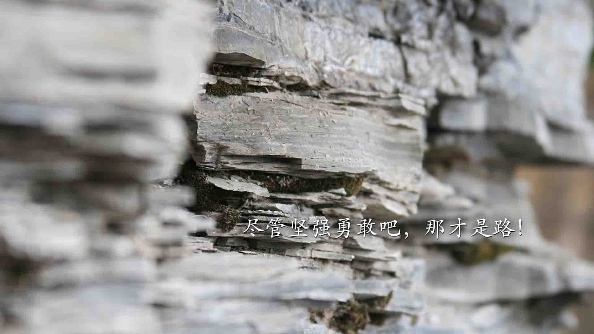 电竞电竞赛事策划全流程及多部门协作机制分析，电竞赛事策划流程表