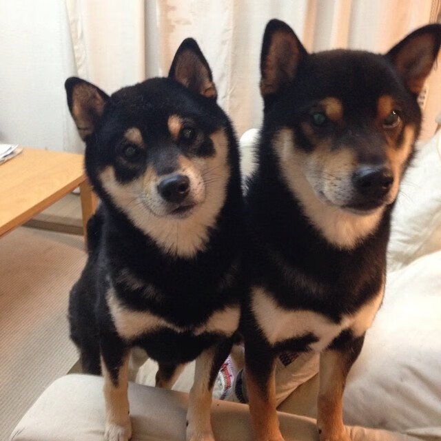 爱游戏-电竞选手的社会责任：公益活动与形象代言，电竞选手的职责