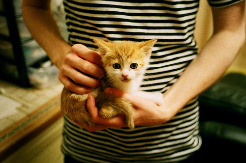 世界青少年滑水锦标赛亚洲代表队夺金,全国滑水冠军