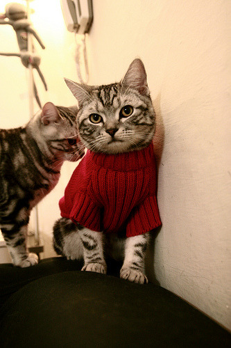 爱游戏体育（AYX）官方APP下载-绝境中的“逆风战士”：逆境中的欧冠战斗精神，逆风比赛