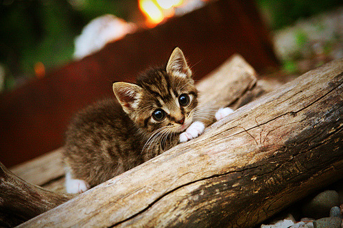 英格兰小组赛全胜晋级,英格兰小组赛进球