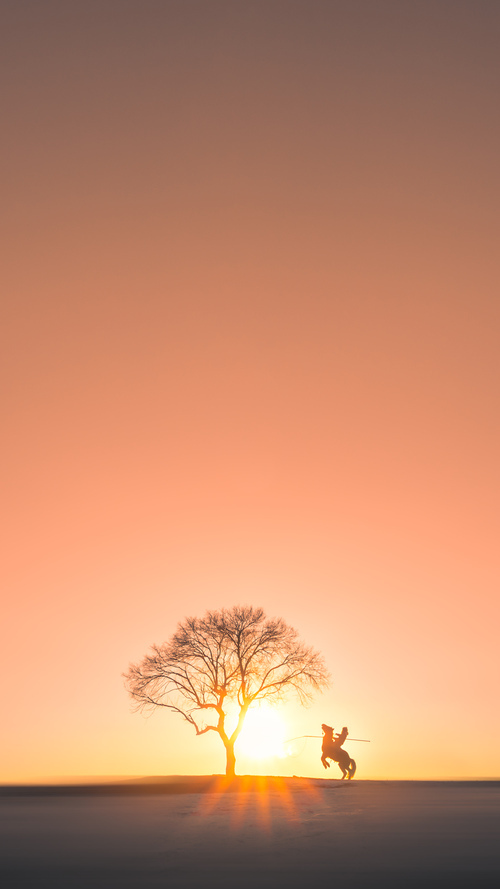 体育赛事运营管理智能化解决方案，体育赛事运营是什么工作