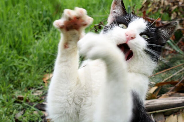 全国青少年乒乓球少年冠军赛在济南开启佳话，全国青少年乒乓球公开赛