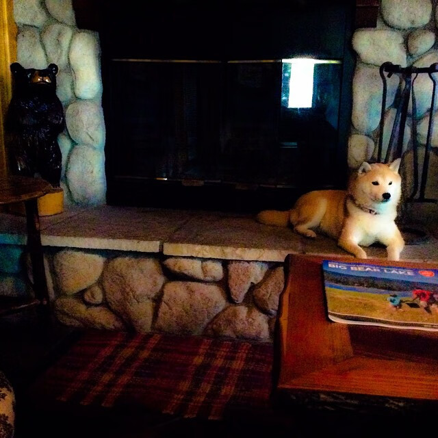 篮球运动员专项技能训练计划设计，篮球专项技术训练要点