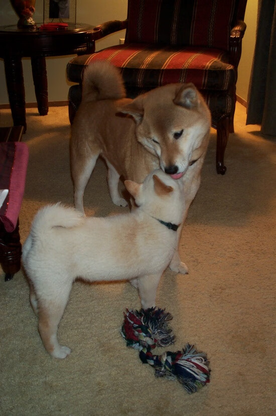 中国足协前主席陈戌源被判无期徒刑,足协领导陈戌源