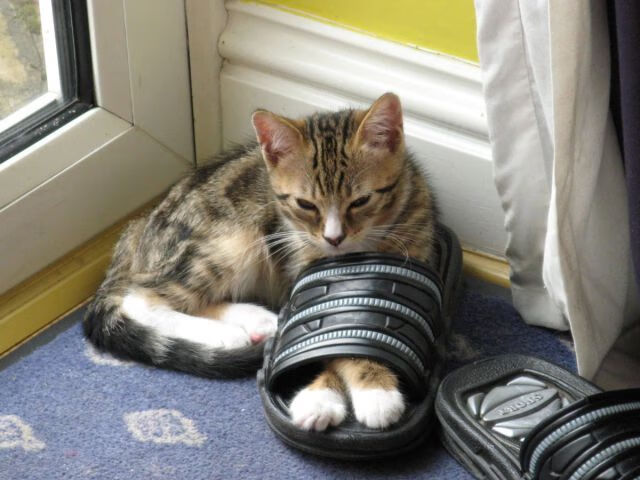 爱游戏-中国女篮注重防守纪律，中国女篮打球