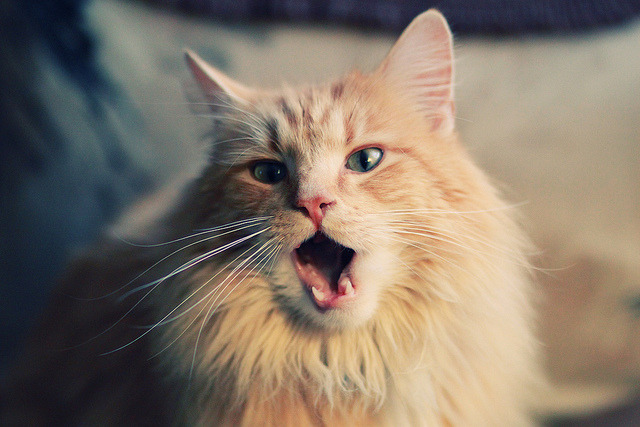 国际赛场惊现奇迹，精彩不容错过，国际赛场惊现奇迹,精彩不容错过什么意思