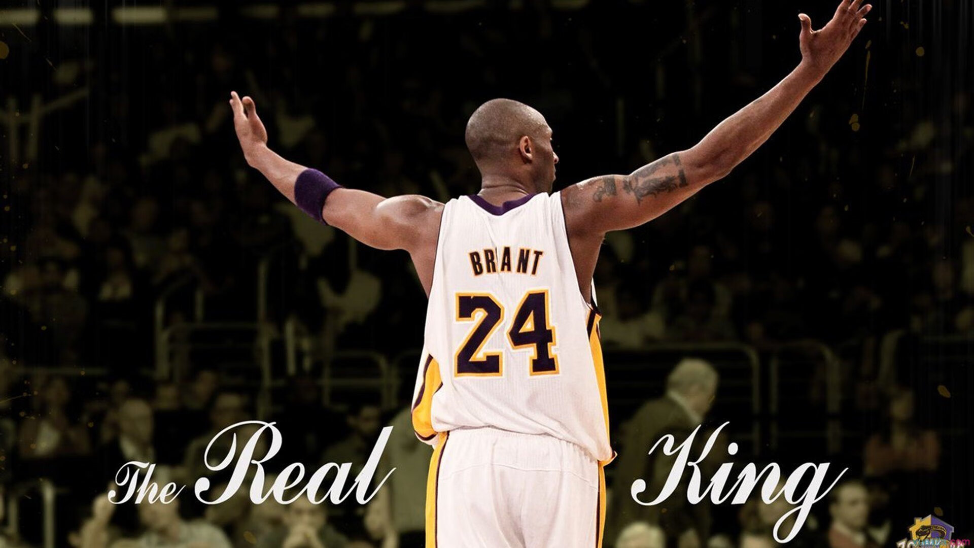 布莱顿阵型变化灵活,海鸥军团保持高位竞争,布莱顿海滩