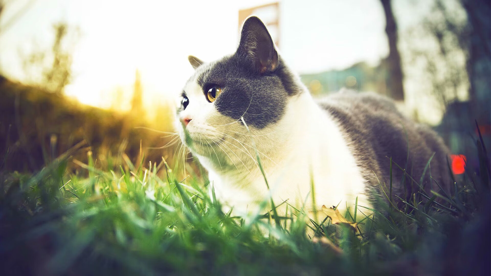 爱游戏电竞官网-叶夫根尼娅·奇库诺娃决赛中展现顶尖耐力，叶夫根尼娅·伊万诺娃