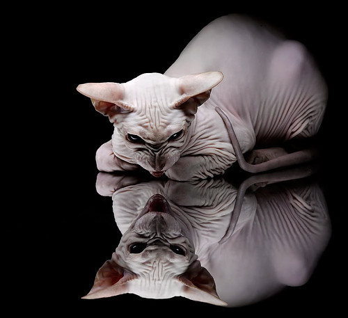 国家队体能储备训练升级助力球员应对高强度赛程挑战,国家队体能通用标准