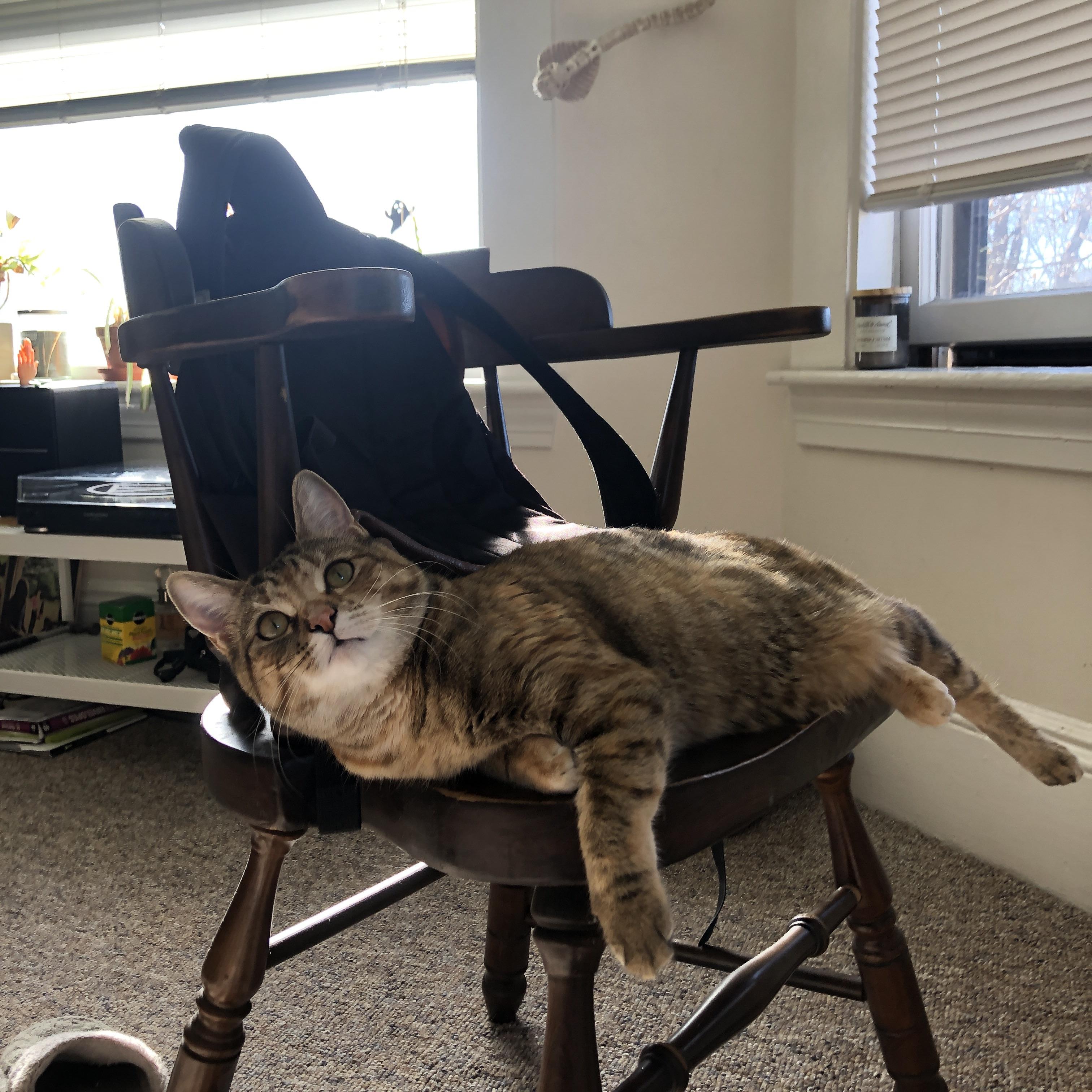 意甲攻防大舞台:速度、技术、策略完美融合!,意甲战术强在哪里