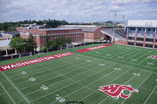 爱游戏娱乐平台-篮球专项体能训练监测技术及应用实践，篮球项目的体能训练方法