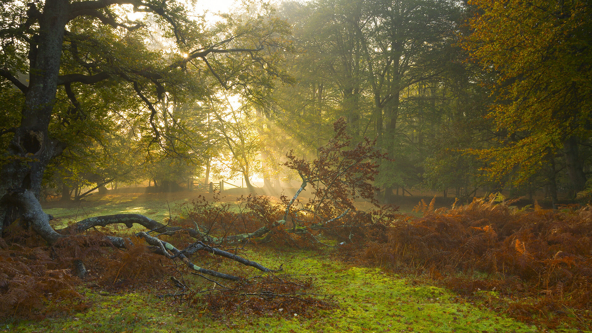 英超双红会曼联绝杀利物浦,曼联 双红会