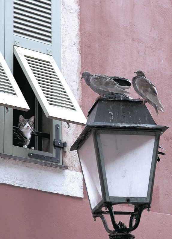 篮球运动战术分析软件开发应用,篮球运动战术分析软件开发应用实验报告