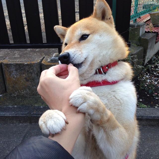 篮球教学基地建立师资轮岗制度丰富教学风格,篮球教育培训