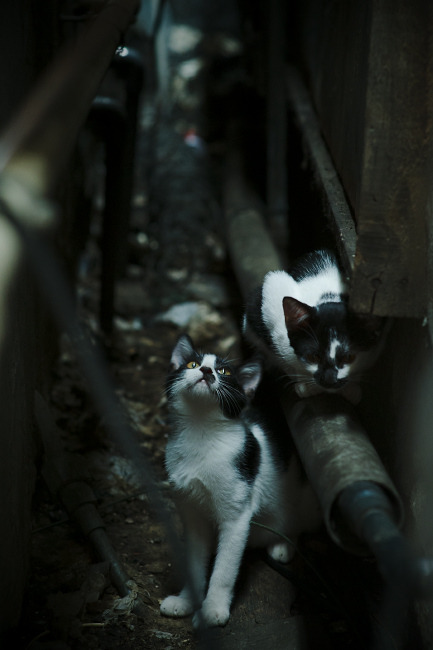 高校体育课分层教学实施成效调研，体育分层教学的策略与方法探讨