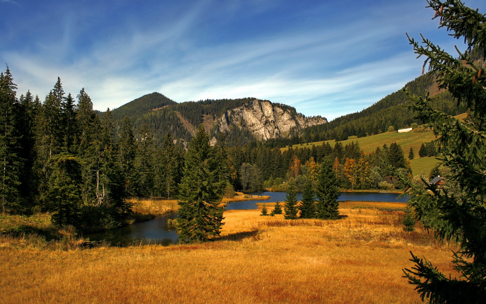 英超豪门争锋:场场激烈,精彩不停!,英超豪门俱乐部
