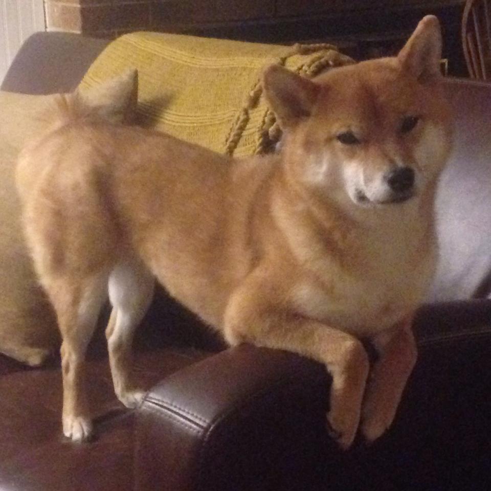 爱游戏-西甲豪门交锋：攻守两端的巅峰较量，西甲老牌豪门