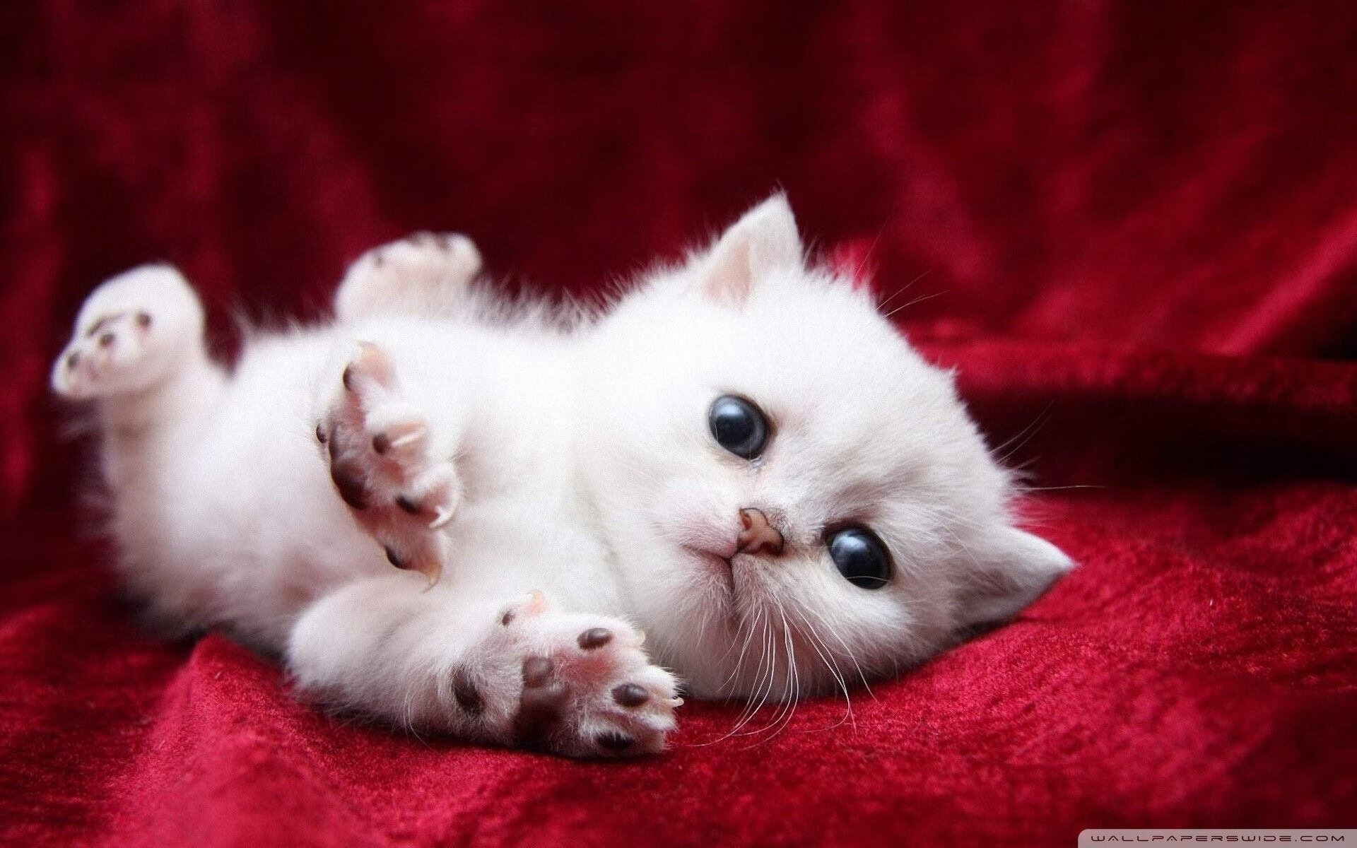 AYXSPORTSAPP-“台球激战：天府校区体育馆赛场上的精准与技巧”