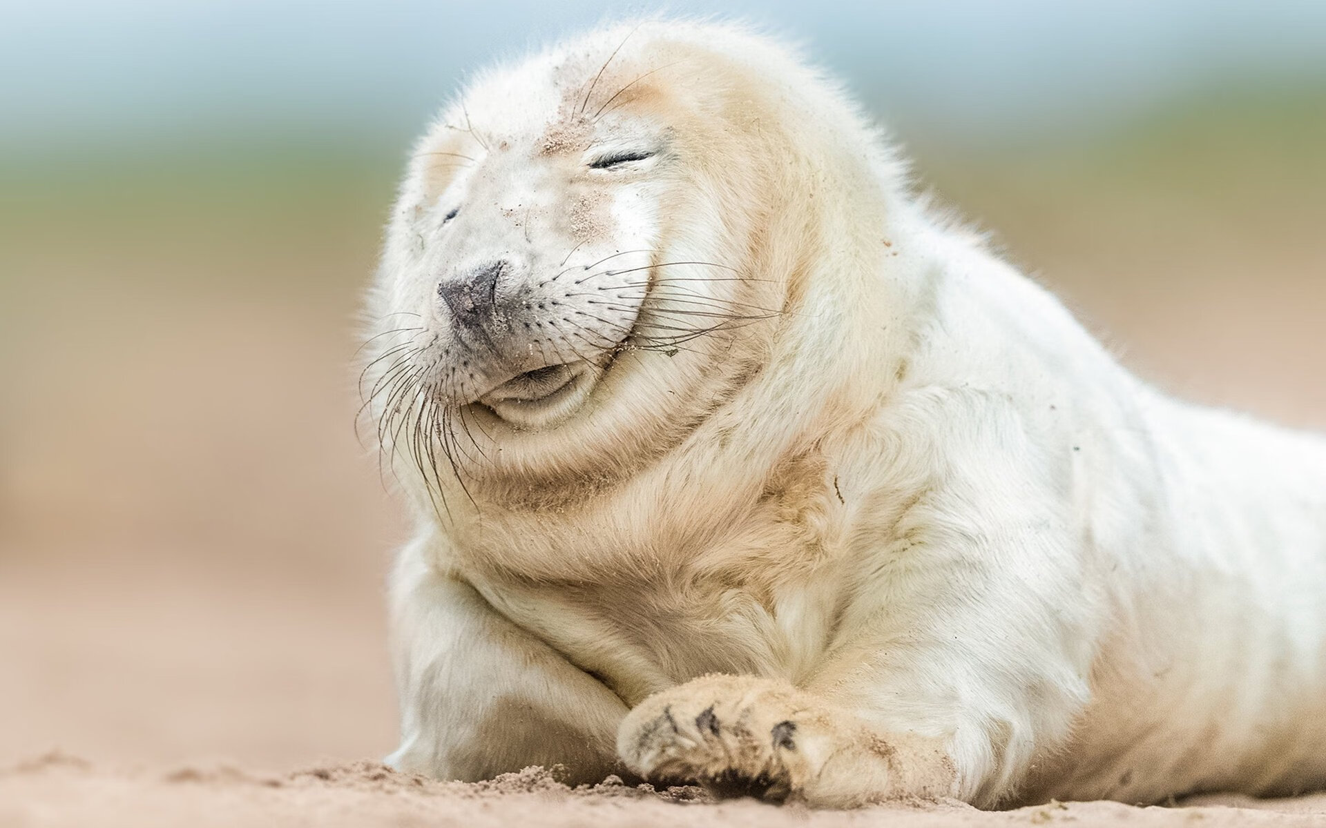 中国三人篮球女队体能训练效果明显,中国女子三人篮球水平